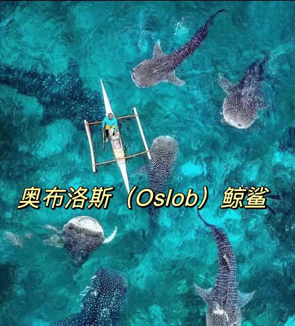 杜馬蓋地旅游攻略