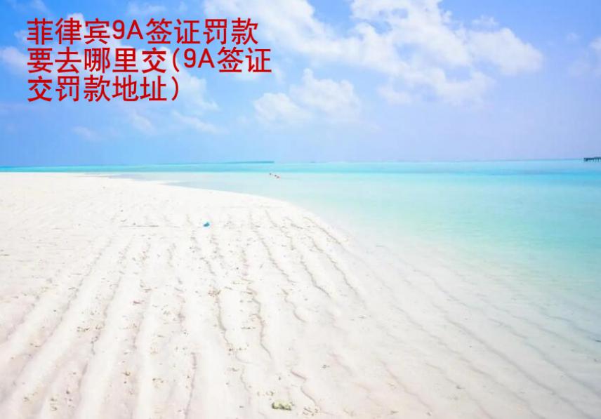 菲律賓9A簽證罰款要去哪里交(9A簽證交罰款地址)