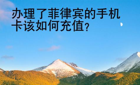 辦理了菲律賓的<strong>手機(jī)卡</strong>該如何充值