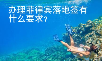 <strong>辦</strong>理菲律賓落地簽有什么要求