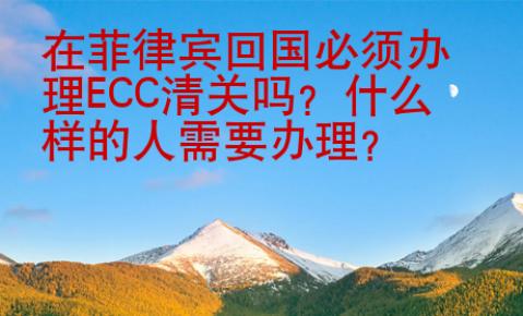 在菲律賓回國(guó)必須辦理ECC清關(guān)嗎