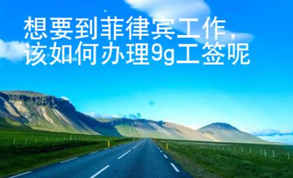 想要到菲律賓工作