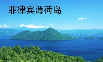 菲律賓薄荷島