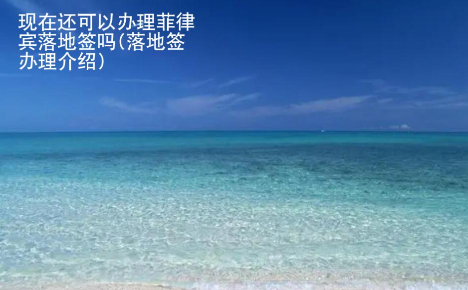 現(xiàn)在還可以辦理<strong>菲律賓</strong>落地簽嗎(落地簽辦理介紹)
