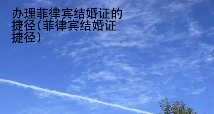 辦理菲律賓結(jié)婚證的捷徑(菲律賓結(jié)婚證捷徑)
