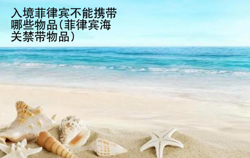 入境菲律賓不能攜帶<strong>哪些</strong>物品(菲律賓海關(guān)禁帶物品)