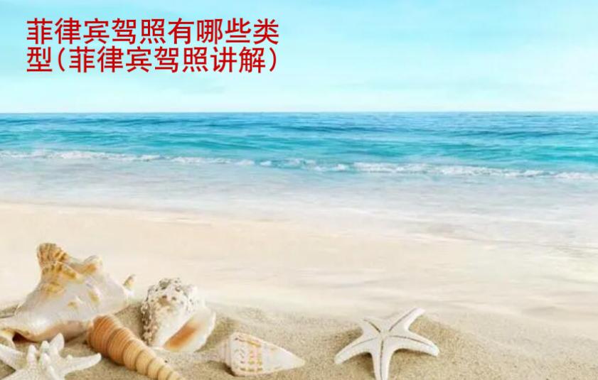 菲律賓駕照有哪些類型(菲律賓駕照講解)