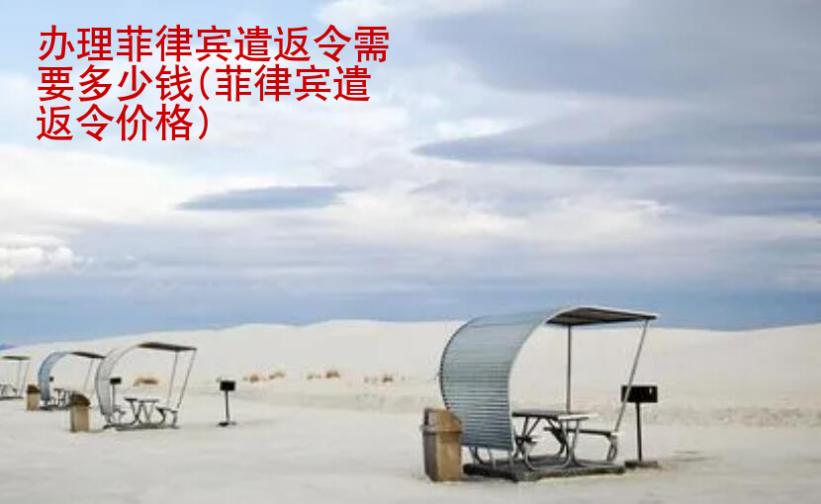 辦理<strong>菲律賓</strong>遣返令需要多少錢(qián)(菲律賓遣返令價(jià)格)