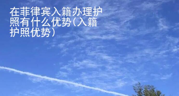在菲律賓入籍辦理護(hù)照有什么優(yōu)勢(入籍護(hù)照優(yōu)勢)