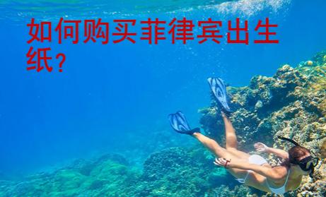 如何購買菲律賓出生紙