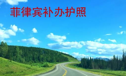 菲律賓補(bǔ)辦護(hù)照