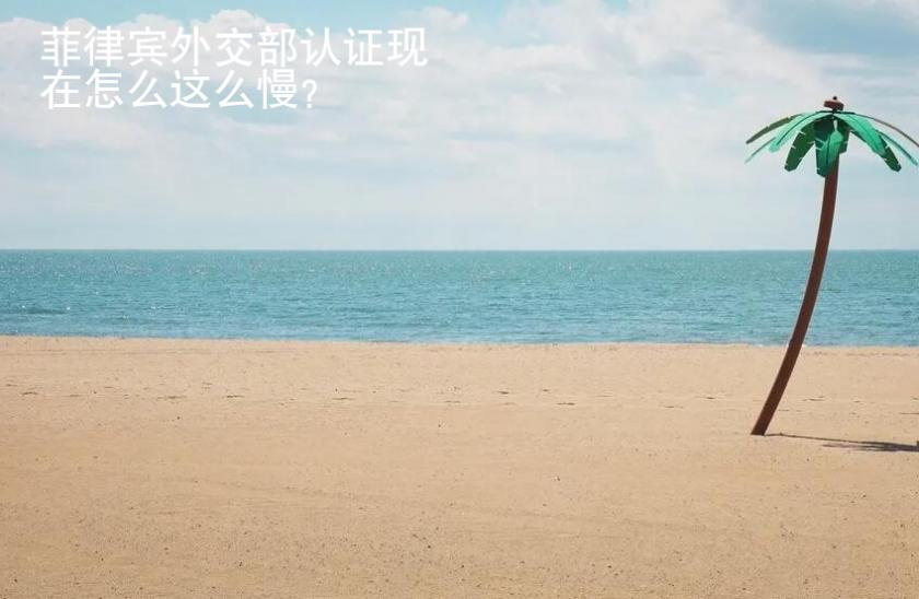 菲律賓<strong>外交</strong>部認(rèn)證現(xiàn)在怎么這么慢