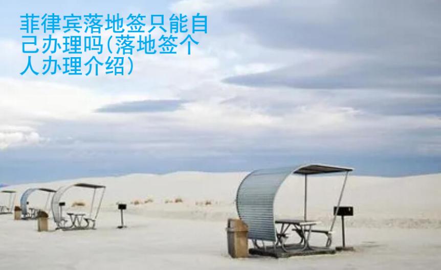 菲律賓落地簽只能自己辦理嗎(落地簽個(gè)人辦理<strong>介紹</strong>)