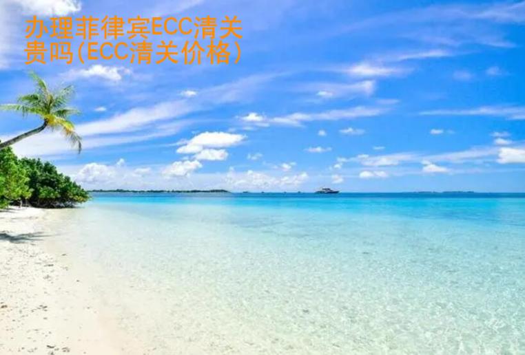 辦理<strong>菲律賓</strong>ECC清關(guān)貴嗎(ECC清關(guān)價(jià)格)