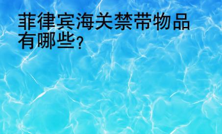 菲律賓海關(guān)禁帶物品有哪些