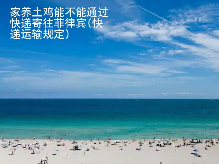 家養(yǎng)土雞能<strong>不能</strong>通過快遞寄往菲律賓(快遞運輸規(guī)定)
