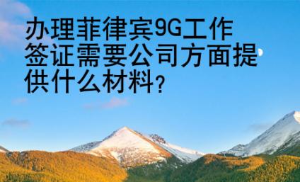辦理菲律賓9G<strong>工作簽證</strong>需要公司方面提供什么材料