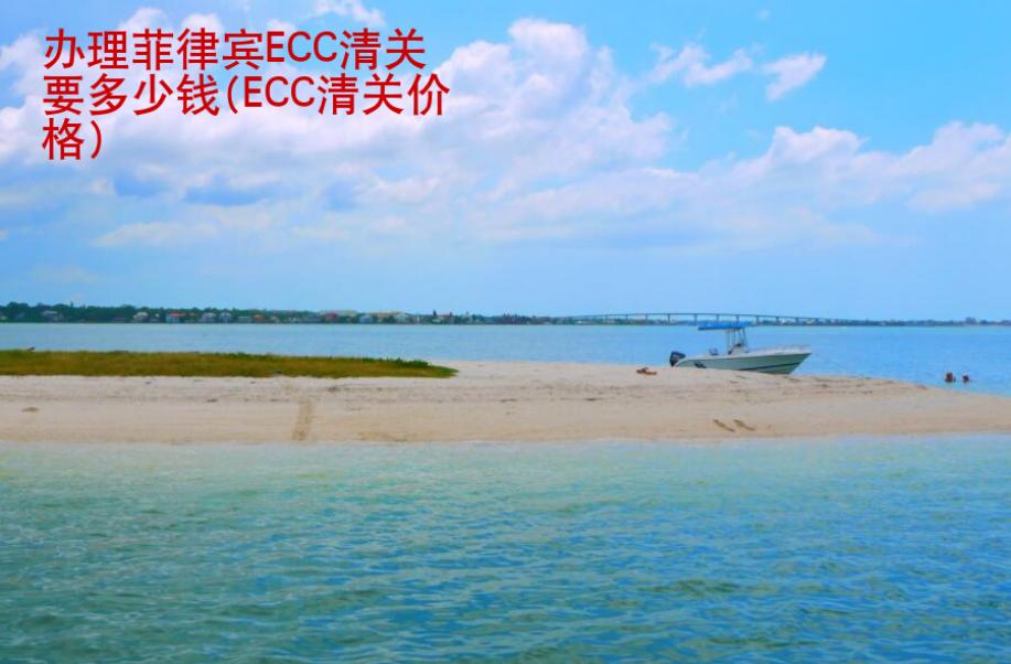 辦理菲律賓ECC清<strong>關要</strong>多少錢(ECC清關價格)
