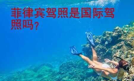 菲律賓駕照是國際駕照嗎