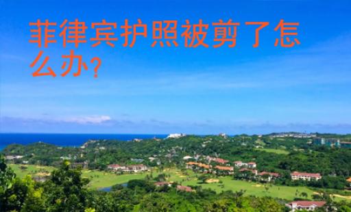 菲律賓護(hù)照被剪了怎么辦