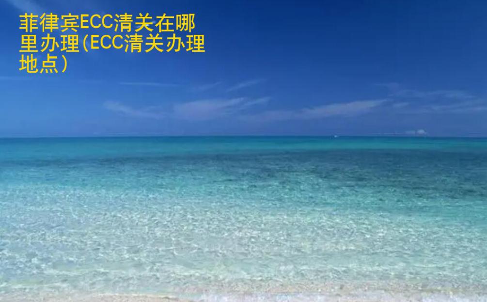 <strong>菲律賓</strong>ECC清關(guān)在哪里辦理(ECC清關(guān)辦理地點)