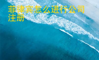 菲律賓怎么進行公司注冊