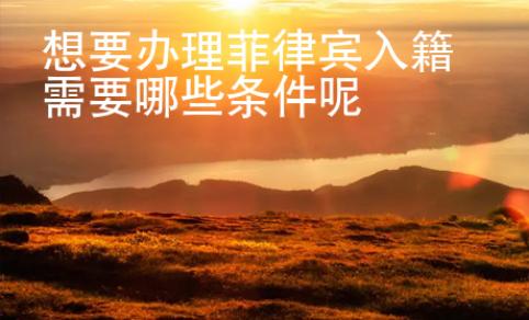 想要辦理菲律賓入籍需要哪些條件呢