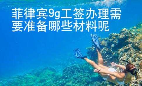 菲律賓9g工簽辦理需要準(zhǔn)備哪些<strong>材料</strong>呢