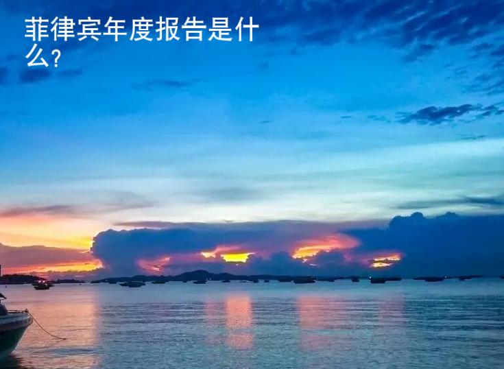 菲律賓年度報(bào)告是什么（年度報(bào)告介紹）
