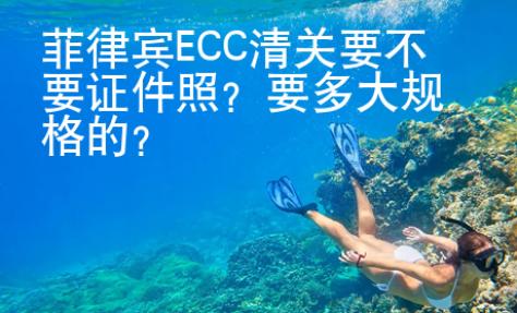 菲律賓<strong>ECC</strong>清關(guān)要不要證件照