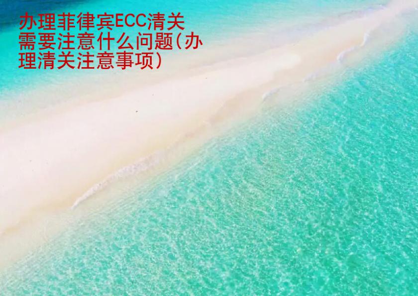 辦理菲律賓ECC清關需要注意<strong>什么</strong>問題(辦理清關注意事項)