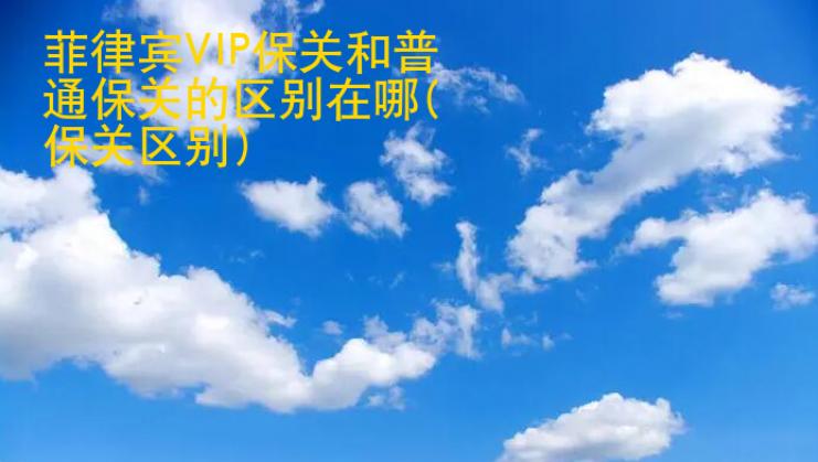 菲律賓VIP保關(guān)和普通保關(guān)的區(qū)別在哪(保關(guān)服務(wù)的區(qū)別)