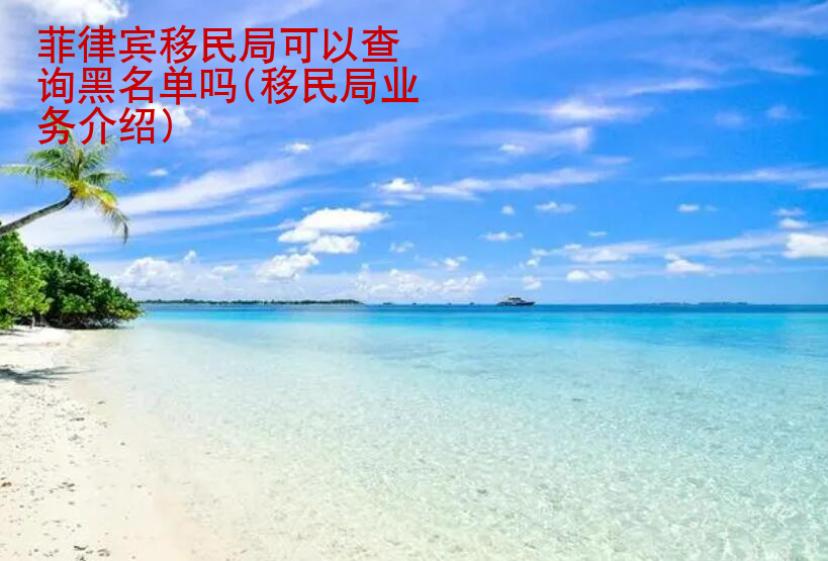 菲律賓移民局可以查詢黑名單嗎(移民局業(yè)務(wù)介紹)