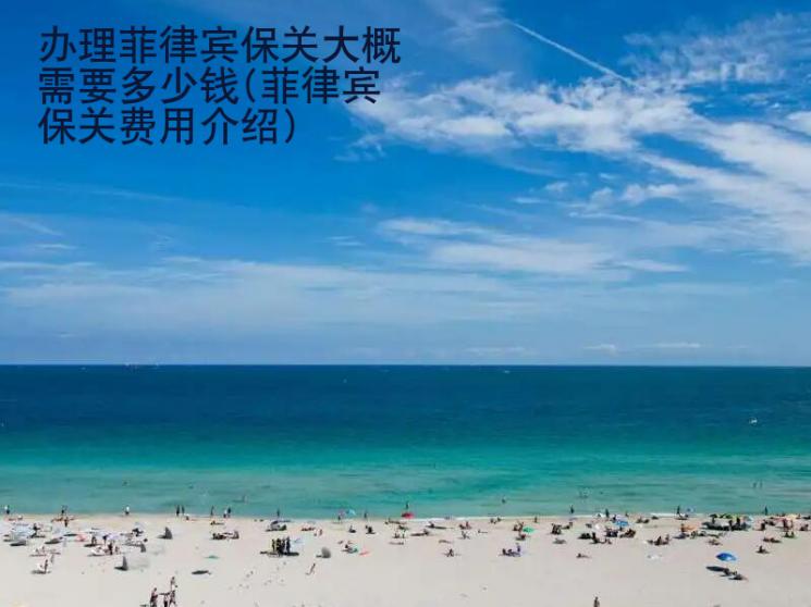 辦理菲律賓<strong>保關(guān)</strong>大概需要多少錢(菲律賓保關(guān)費(fèi)用介紹)