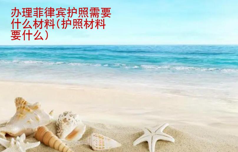 辦理<strong>菲律賓</strong>護(hù)照需要什么材料(護(hù)照材料要什么)