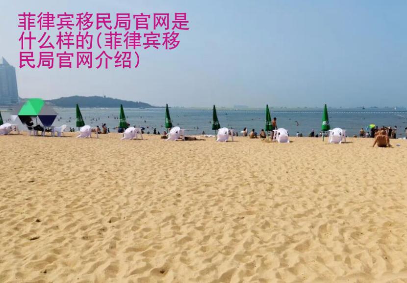 菲律賓<strong>移民</strong>局官網(wǎng)是什么樣的(菲律賓移民局官網(wǎng)介紹)