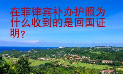在菲律賓補(bǔ)辦護(hù)照為什么收到的是回國(guó)證明