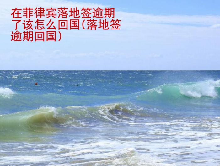 在<strong>菲律賓</strong>落地簽逾期了該怎么回國(落地簽逾期回國)