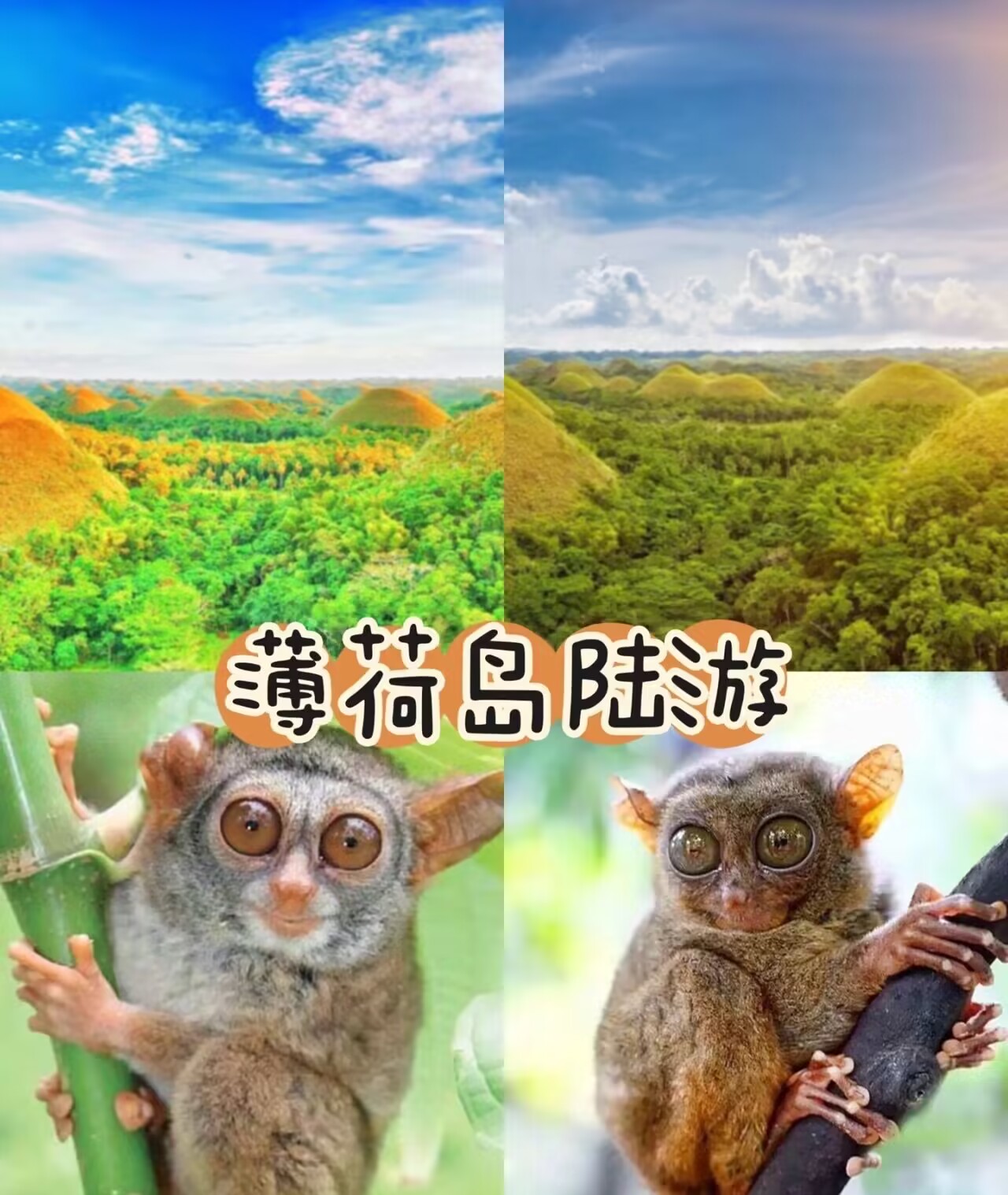 ?菲律賓薄荷島的<strong>基本</strong>情況